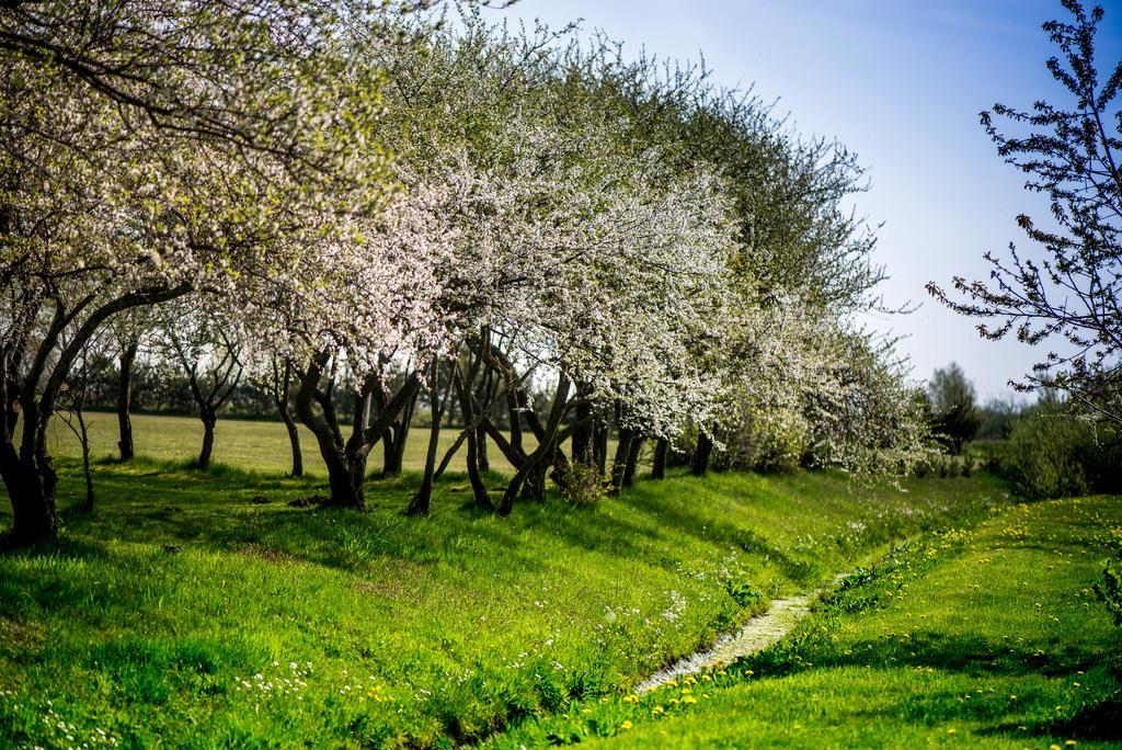 Отель Ergli Бернати Экстерьер фото